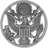 USAF Cap Badge Large Pin
