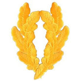 Eagle Emblems PM0255 Patch-Scram.Egg,Gold (Pair) (3.75 inch)