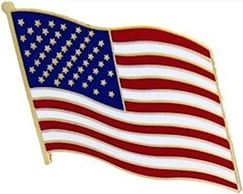 Wavy U.S. Flag Pin