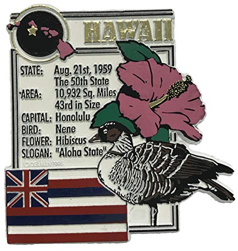 Hawaii Large Aloha State Magnet