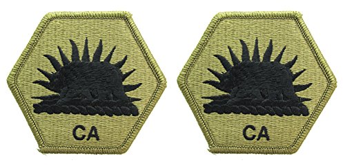 California State Guard OCP Patch - U.S. Army Patch