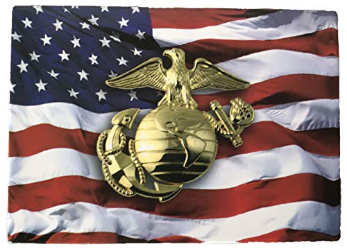 American Flag with EGA Symbol - Novelty Military Magnet