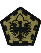 555th Engineer Group OCP Multicam Patch