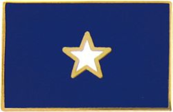Bonnie Blue Flag Pin