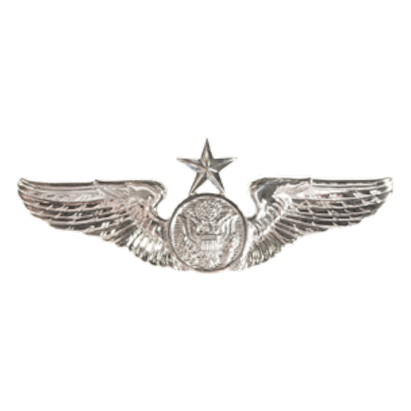 Air Force Badge - Enlisted Aircrew Member Senior
