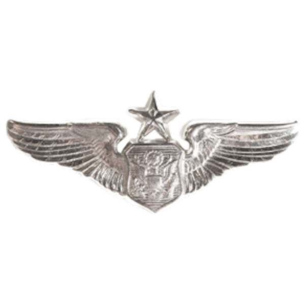 Air Force Badge - Non Rated Officer Aircrew Senior