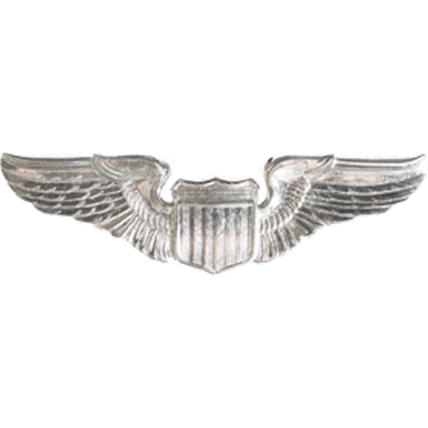 Air Force Badge - Pilot Basic
