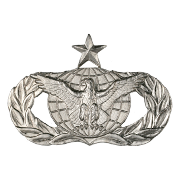 Air Force Badge - Law Enforcement Senior