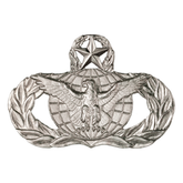 Air Force Badge - Law Enforcement Master