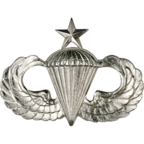 Air Force Badge - Parachutist Senior