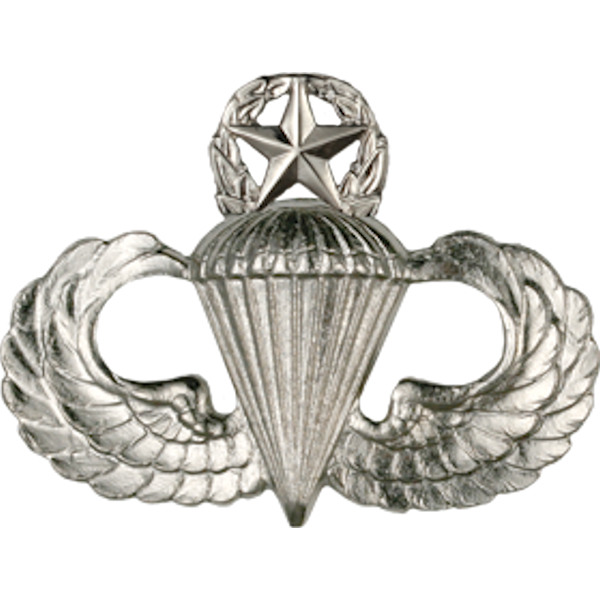 Air Force Badge - Parachutist Master