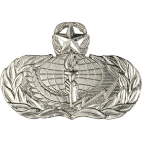 Air Force Badge - Services