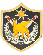 USAE Multi-National Force-Iraq CSIB - Army Combat Service Identification Badge