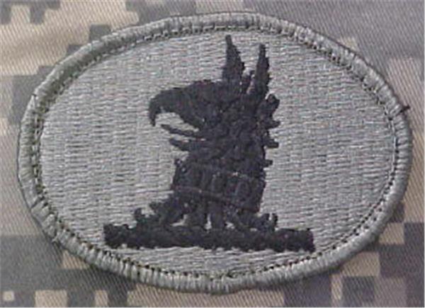 Delaware Army National Guard ACU Patch - Closeout