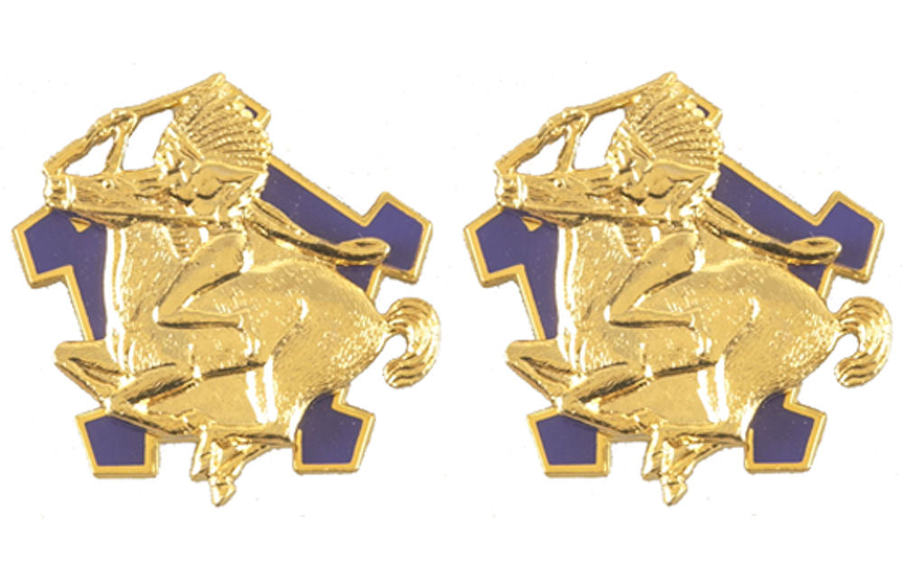 9th Cavalry Distinctive Unit Insignia - Pair