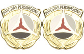 10th PSYOPS Battalion Distinctive Unit Insignia - Pair - POSTESTAS PERSUASIONIS