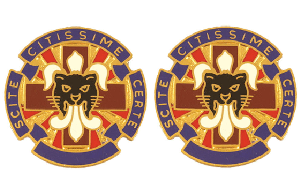 13th Combat Support Hospital Distinctive Unit Insignia - Pair - SCITE CITIS SIME CERTE