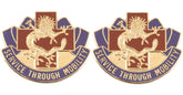 28th Hospital Distinctive Unit Insignia - Pair