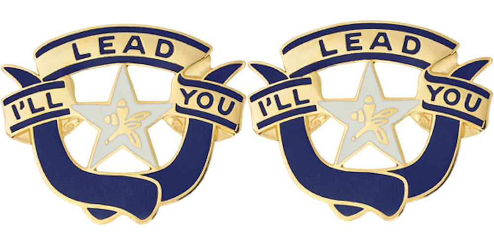 36th Brigade Distinctive Unit Insignia - Pair "I'll Lead You"