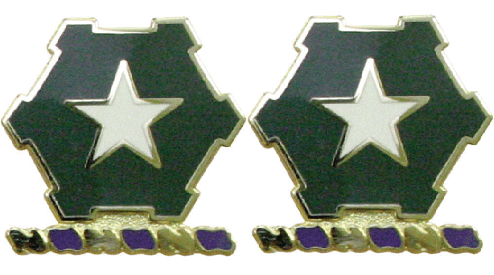 36th Infantry Distinctive Unit Insignia - Pair