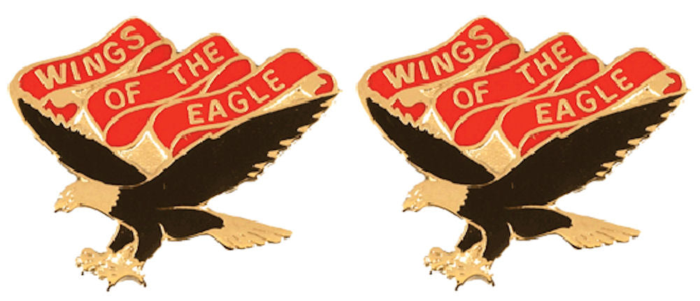 101st Aviation Battalion Distinctive Unit Insignia - Pair - WINGS OF THE EAGLE
