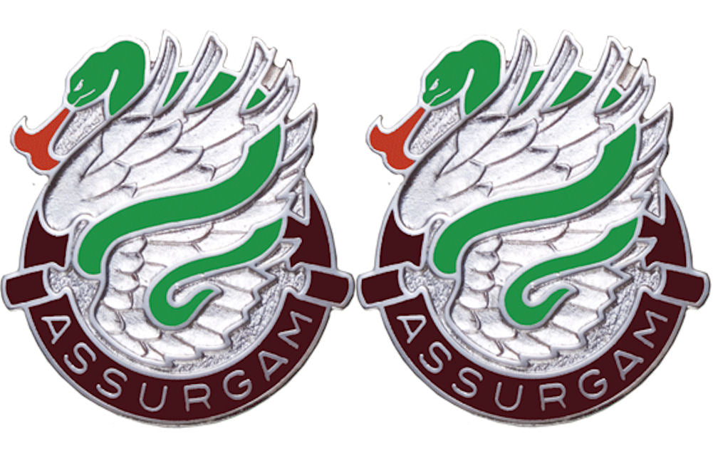 626th SUPPORT BATTALION Distinctive Unit Insignia - Pair - ASSURGAM