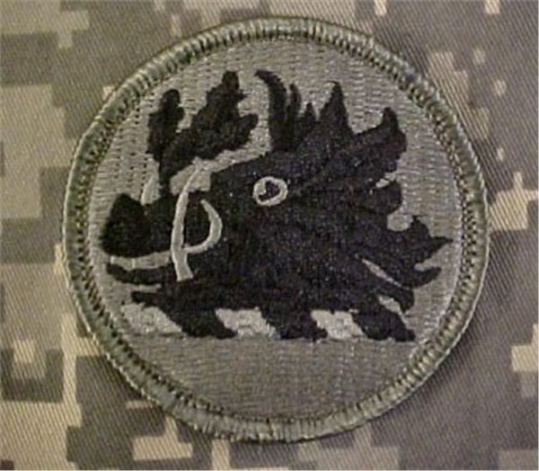 Georgia National Guard ACU Patch - Closeout