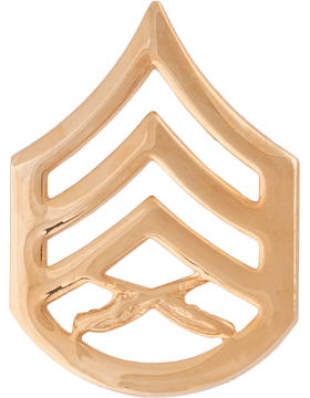 USMC ENLISTED Rank Metal Pin-ons -  GOLD - Pair