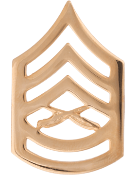 USMC ENLISTED Rank Metal Pin-ons -  GOLD - Pair