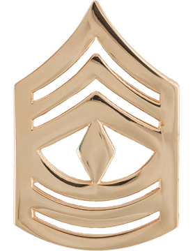 USMC ENLISTED Rank Metal Pin-ons -  GOLD - Pair