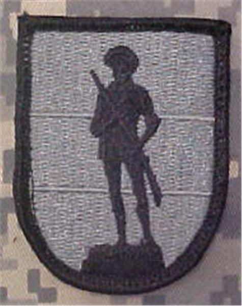 Army National Guard School ACU Patch
