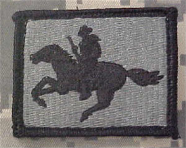 Wyoming National Guard ACU Patch
