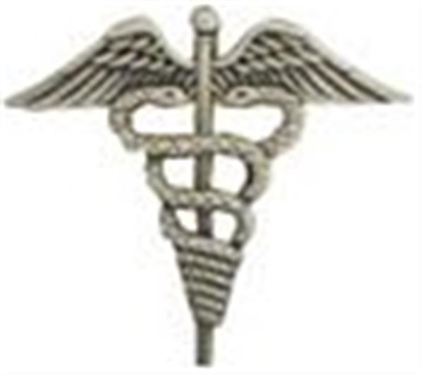 HM-Hospital Corps Small Pin Size 1 1-4" SILVER OXIDE finish
