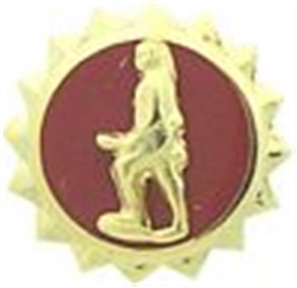 U.S. Army Honorable Discharge Pin