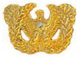 Warrant Officer Small Hat Pin 1 1-8"