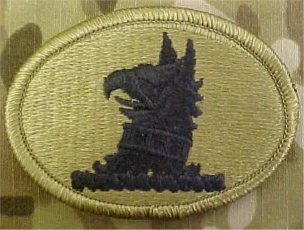 Delaware Army National Guard Multicam  OCP Patch