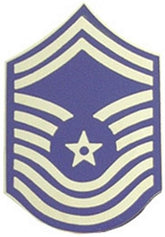 USAF E-9 CMSgt Small Hat Pin