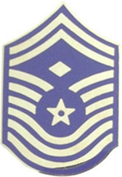 USAF E-9 1st Sgt Small Hat Pin