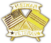 US Flag-Vietnam Veteran Flag Small Hat Pin