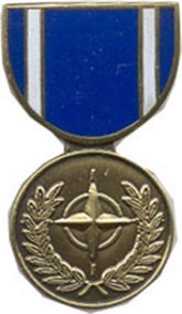 NATO Service Mini Medal Small Pin