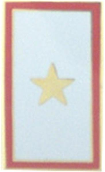 Gold Star Memorial Flag Small Hat Pin