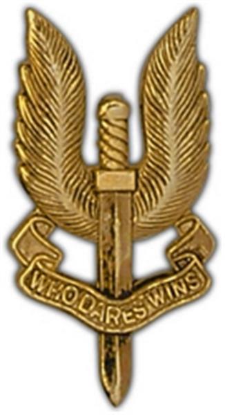 SAS Logo Large Pin