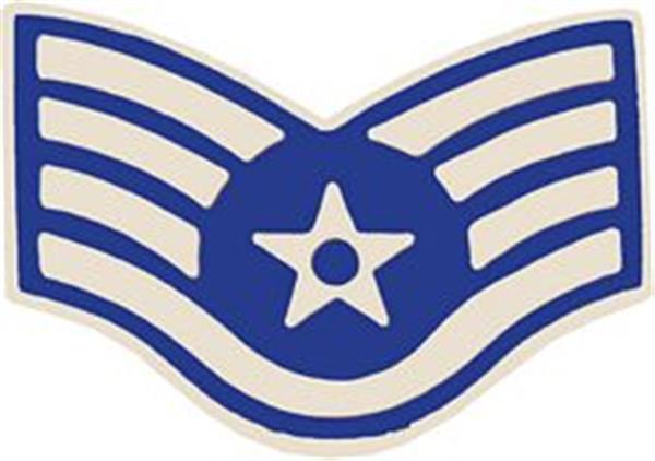 U.S. Air Force E-5 Staff Sergeant Small Hat Pin