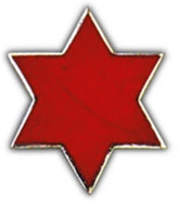 6th Division Small Hat Pin
