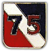 75th Division Small Hat Pin