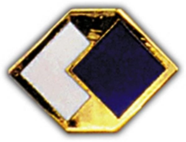 96th Regional Readiness Command - ARCOM Small Hat Pin
