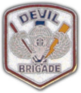 Devil Brigade Small Hat Pin