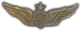 Senior Army Aviator Small Hat Pin