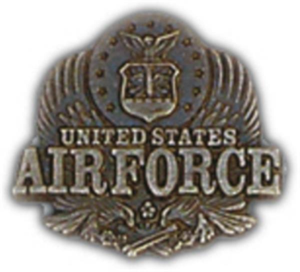 Air Force Eagle Small Pin