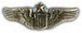 Senior Pilot Wings Small Pin